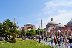 Istanbul busom 6 dana