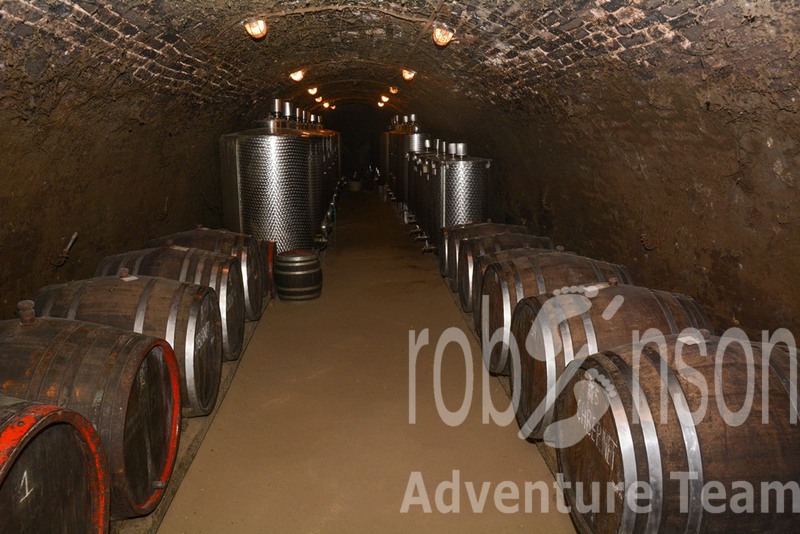 wine cellar.jpg